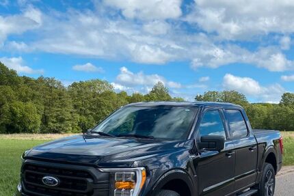 Ford F 150 15.300 km 49.000 &euro; Mechernich 53894