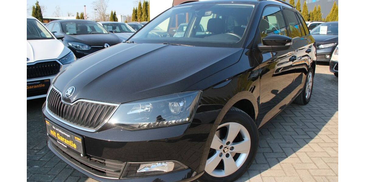 Skoda Fabia 53.242 km 13.490 &euro; Falkensee 14612