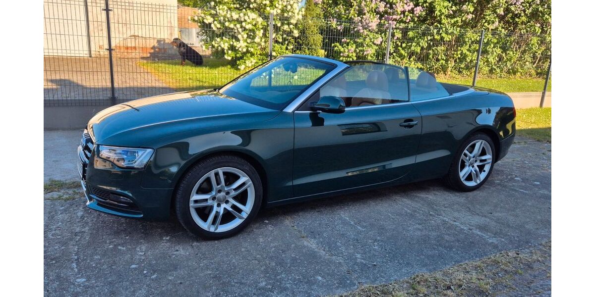 Audi Cabriolet 125.000 km 20.999 &euro; Lüssow 18442