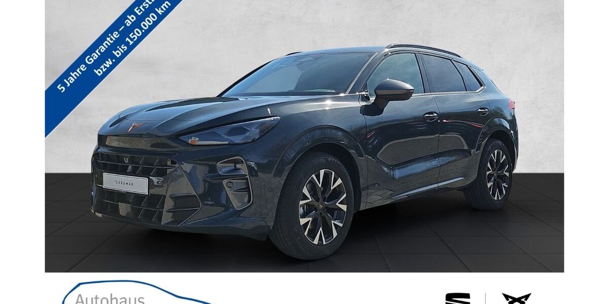Cupra Terramar 3.500 km 31.990 &euro; Markdorf 88677