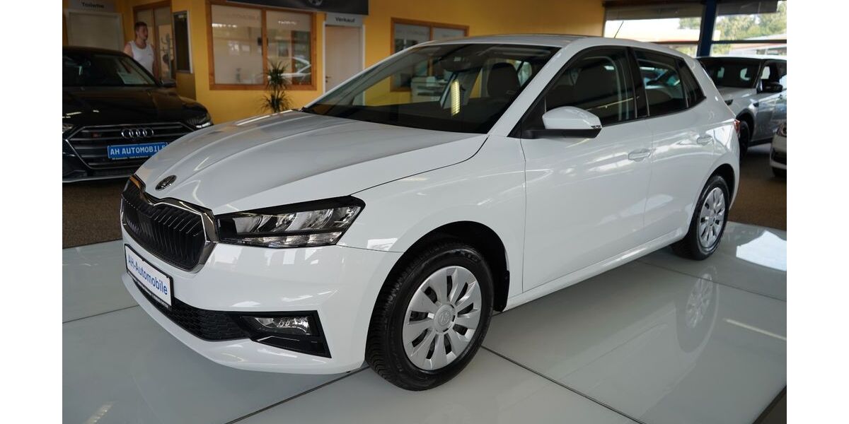 Skoda Fabia 18.000 km 19.880 &euro; Bad Doberan 18209