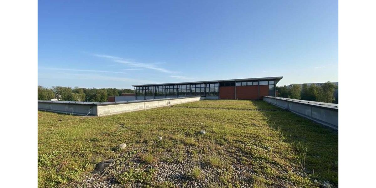 Gewerbeobjekt Schwerin Mueß - 175.000&euro; | Angebot:24977982