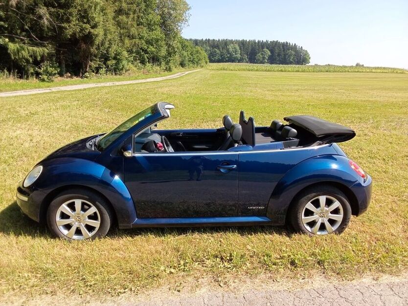 Beetle