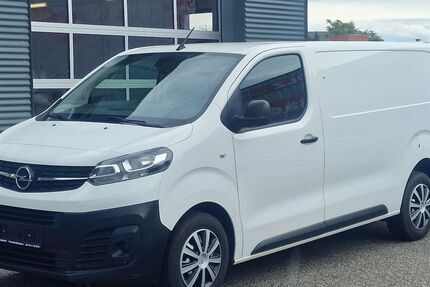 Opel Vivaro 84.000 km 20.699 &euro; Landau 76829