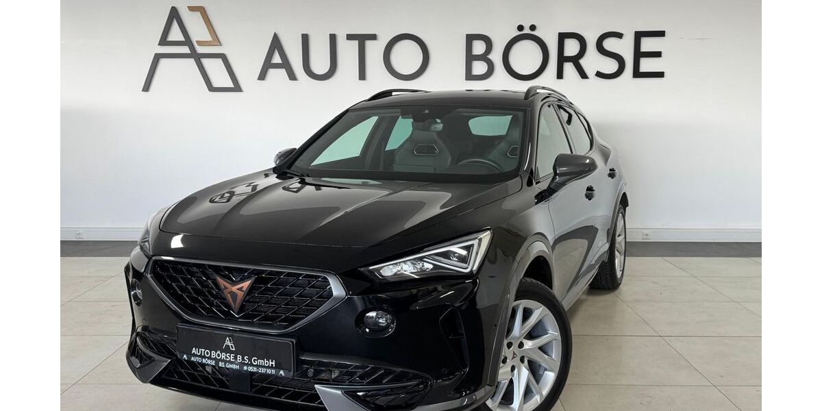 Cupra Formentor 191.130 km 15.890 &euro; Braunschweig 38114