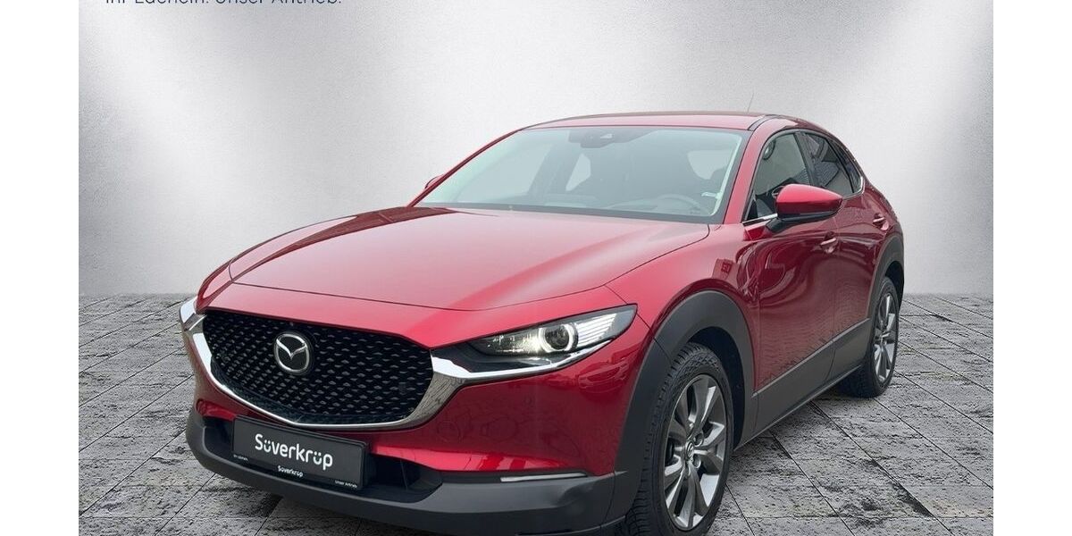 Mazda CX-30 68.000 km 19.990 &euro; Bad Oldesloe 23843