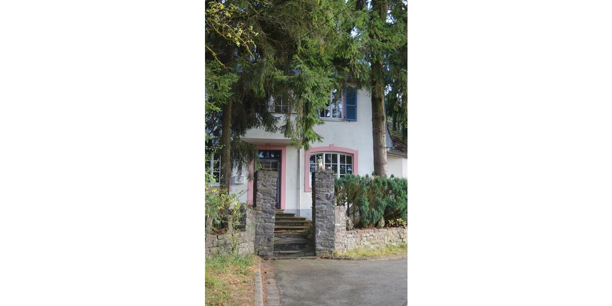 Einfamilienhaus Bollendorf - 13 Zimmer, 13 m&sup2;, 420.000&euro; | Angebot:26714027
