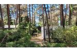 Bungalow Märkische Heide - 3 Zimmer, 36 m&sup2;, 29.501&euro; | Angebot:27132675