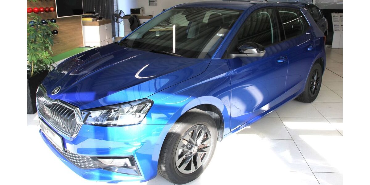 Skoda Fabia 3.021 km 19.390 € Forst 03149