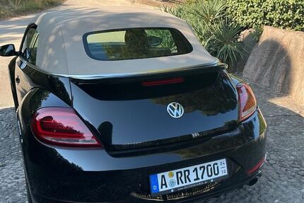 VW Beetle