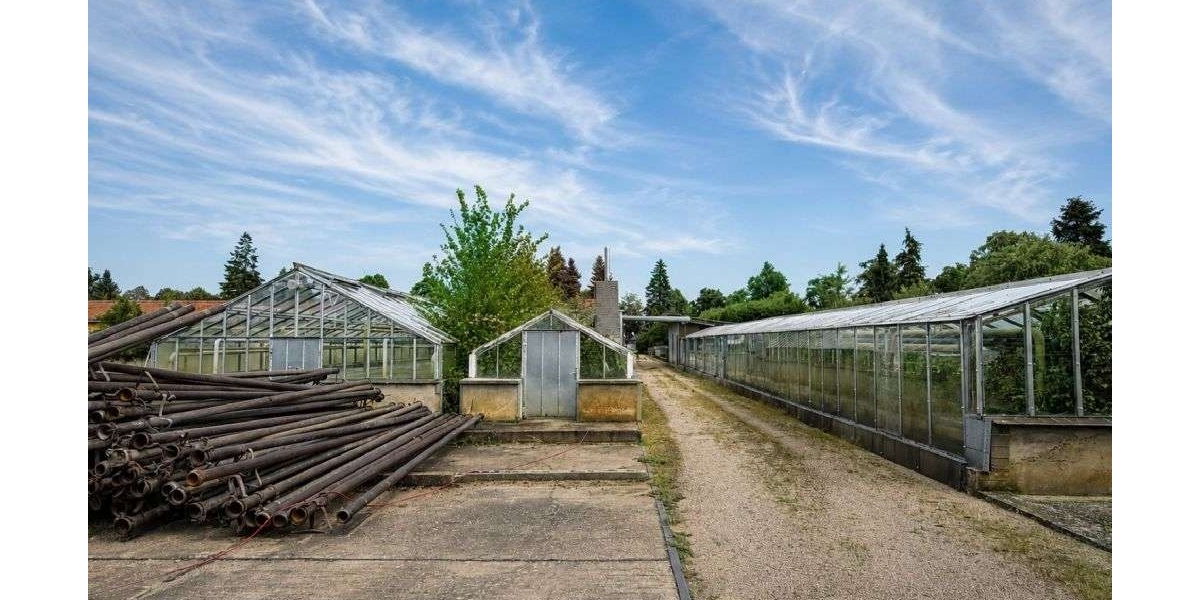 DahmeMark - Viel Platz für neue Ideen: Wohnhaus mit ehemaliger Gärtnerei und Ackerfläche - Einfamilienhaus Dahme/Mark Mark | Angebot:27348929