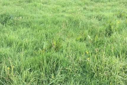 Grundstück Leipzig Nordost - 1.500.000&euro; | Angebot:25079224