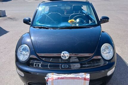 VW Beetle