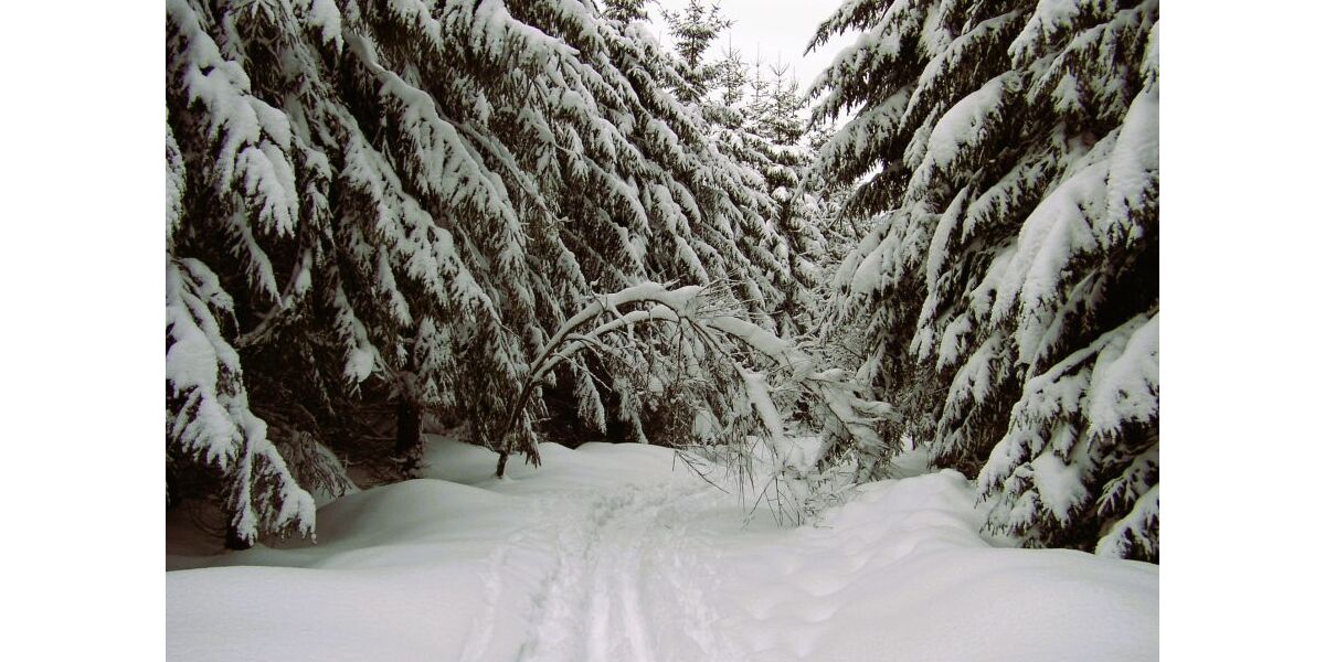 Provisionsfrei* Kleines Hotel im Thüringer Wald sucht neuen Eigentümer - Gewerbeobjekt Suhl Schmiedefeld am Rennsteig | Angebot:25642404