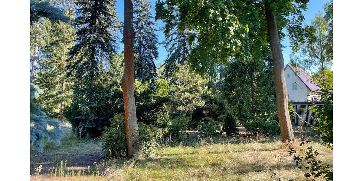 Grundstück Brandis Waldsteinberg - 269.000&euro; | Angebot:25748157