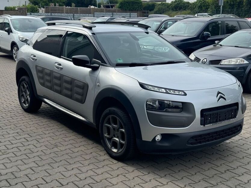C4 Cactus
