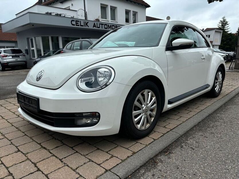 Beetle