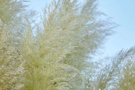 Grundstück Eppstein - 279.000&euro; | Angebot:25194852