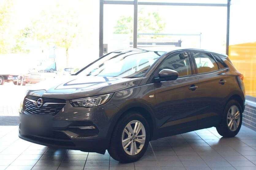 Grandland X