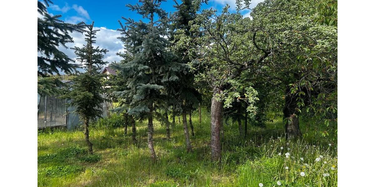 Einfamilienhaus Plessa - 4 Zimmer, 129 m&sup2;, 150.000&euro; | Angebot:26548346