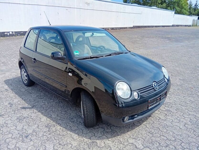 Lupo