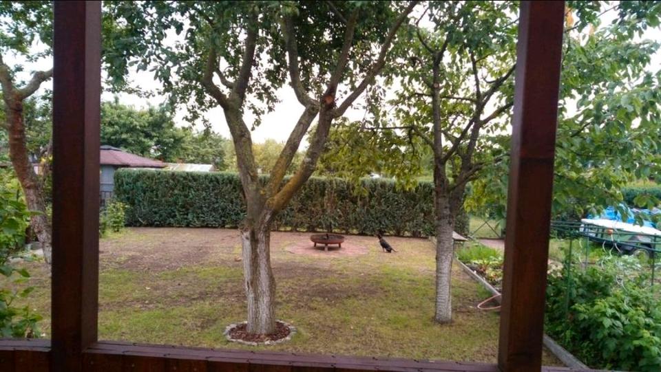 Einfamilienhaus Brieselang - 2 Zimmer, 27 m&sup2;, 29.999&euro; | Angebot:25496000