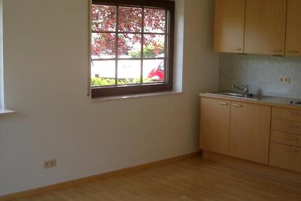 1-Zi. Single Wohnung , ideal für Wochenendheimfahrer zimmer