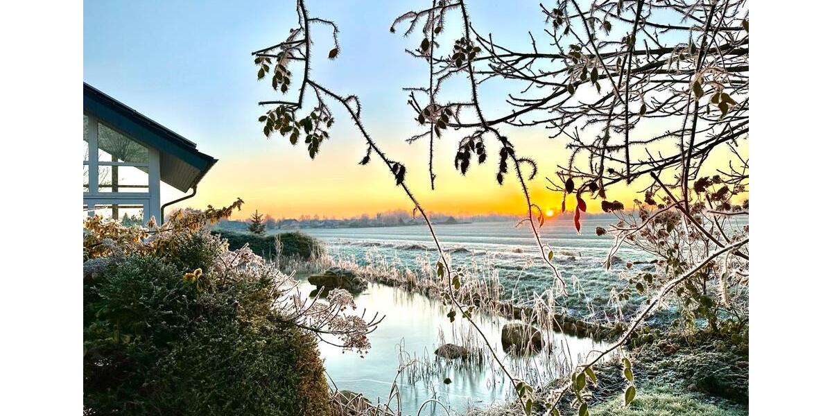 Dein individuelles LivingHaus - Ein Traum wird wahr im Osteland 11 zimmer