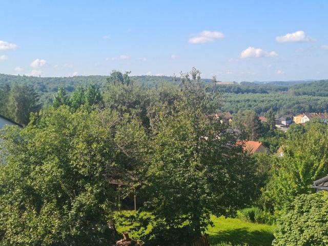 Großzügiges Wohnhaus mit Einliegerwohnung in Höhenlage von Neunkirchen - Einfamilienhaus Neunkirchen | Angebot:20764360