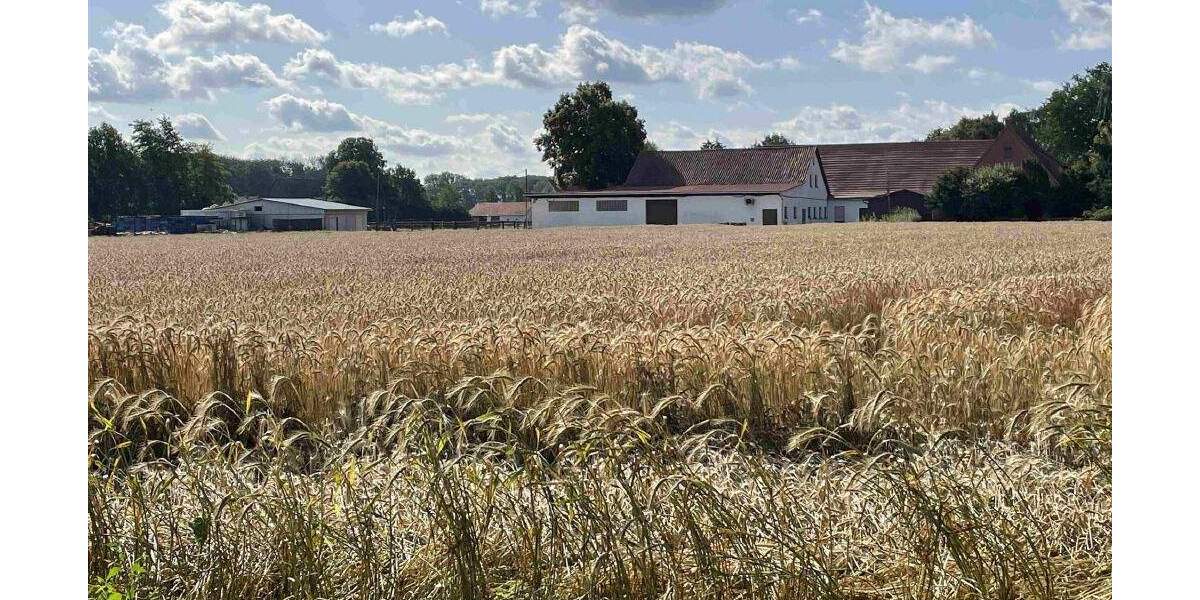 Mehrfamilienhaus, Wohnhaus Stemwede Oppendorf - 8 Zimmer, 175 m&sup2;, 575.000&euro; | Angebot:24700161