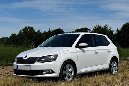 Skoda Fabia 188.000 km 5.900 € Darmstadt 64293