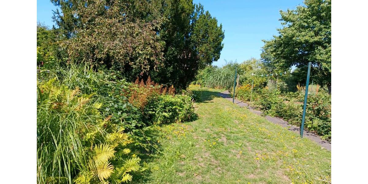 Einfamilienhaus Schönwald - 5 Zimmer, 150 m&sup2;, 250.000&euro; | Angebot:27141906
