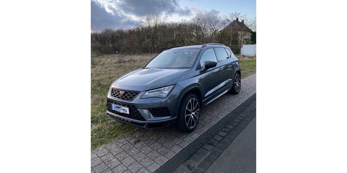 Cupra Ateca 119.000 km 22.499 &euro; Wittlich 54516