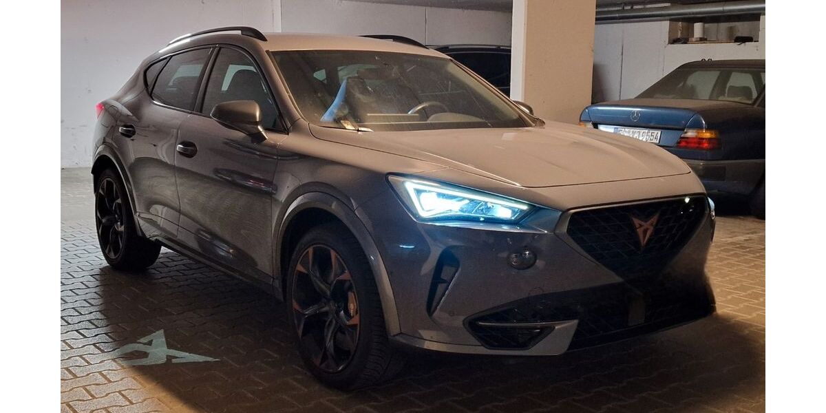 Cupra Formentor 40.008 km 22.999 &euro; Ostfildern 73760