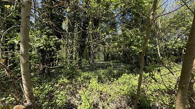 IHR GANZ PRIVATES STÜCK NATUR - Grundstück Kuppenheim | Angebot:26316139