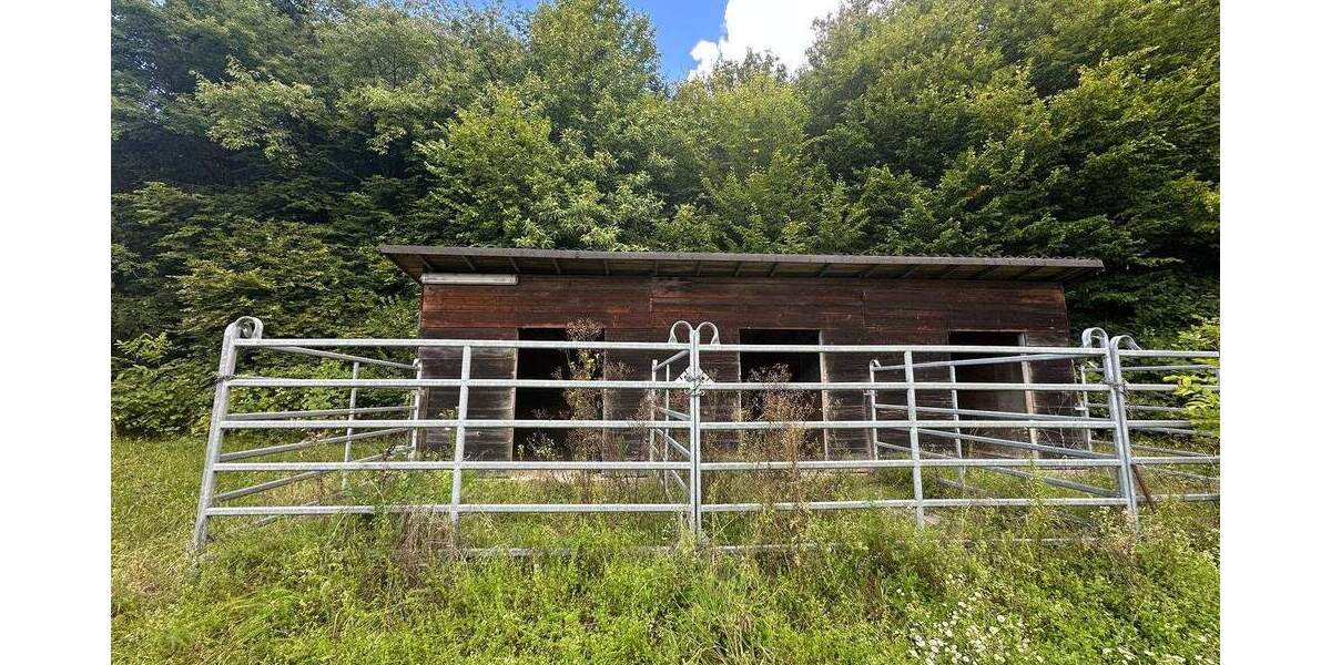 Traumgrundstück zimmer