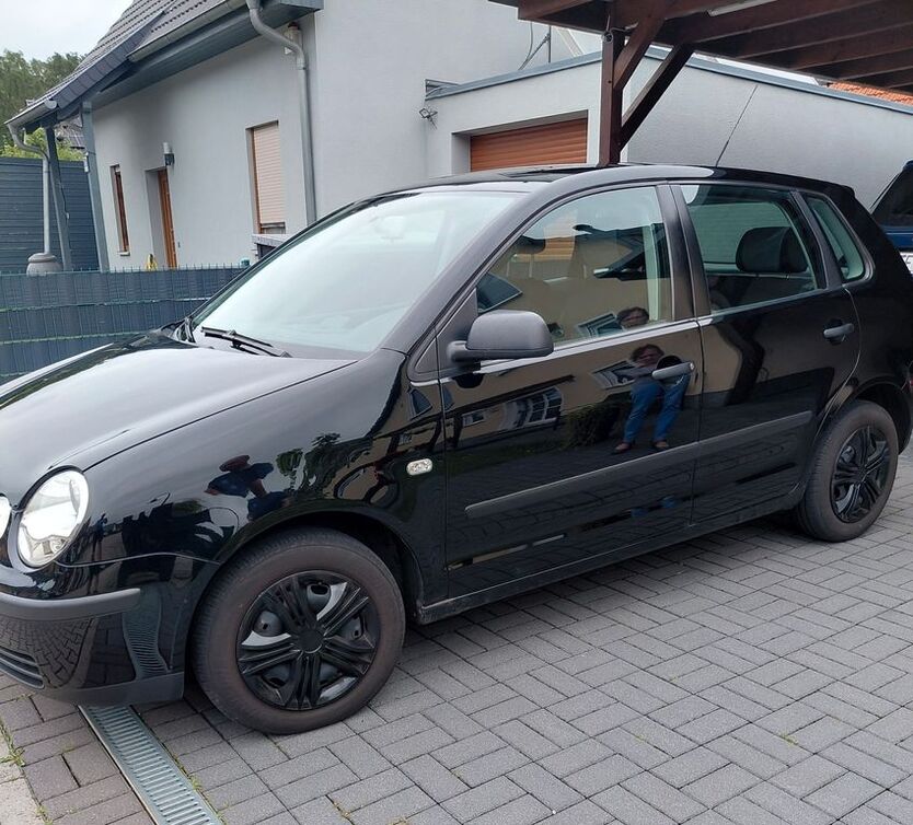 Polo