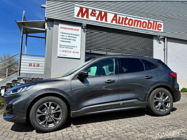 Kuga