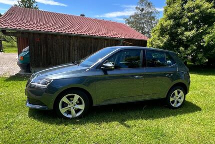 Skoda Fabia 53.000 km 10.700 &euro; Schlier 88281