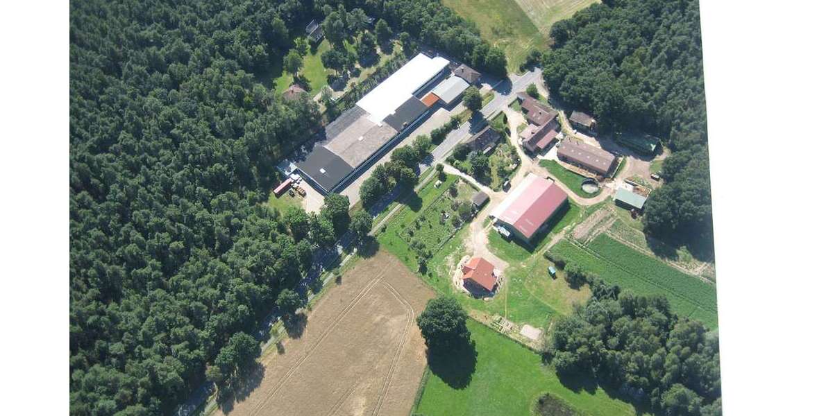 Gewerbeobjekt Dannenberg (Elbe) - 580.000&euro; | Angebot:26978606