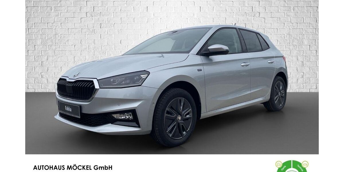 Skoda Fabia 8.250 km 18.999 € Rochlitz 09306