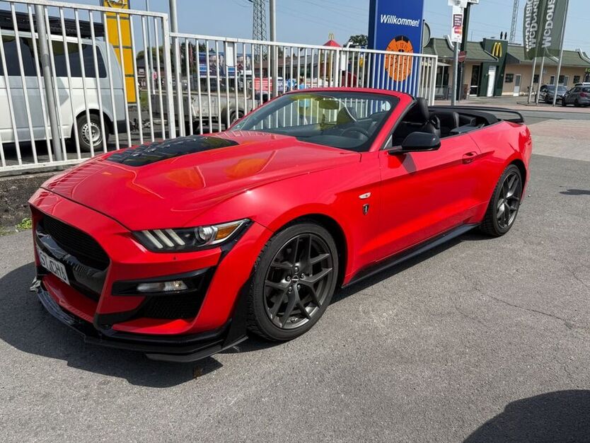 Mustang