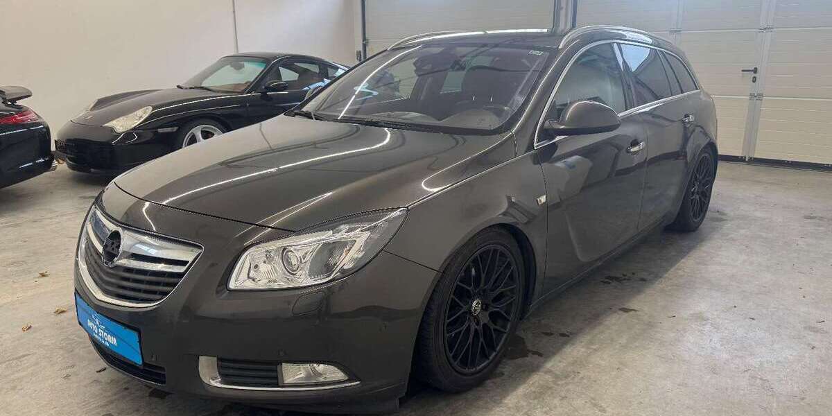 Opel Insignia 390.000 km 1.999 &euro; Landau a.d. Isar 94405