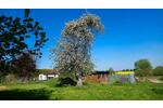 Einfamilienhaus Jördenstorf - 3 Zimmer, 100 m&sup2;, 259.000&euro; | Angebot:26040044