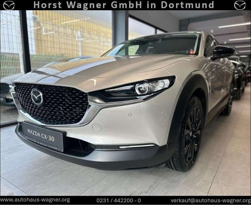 CX-30