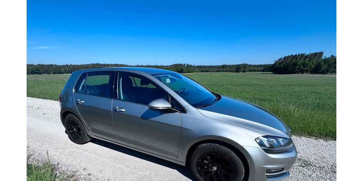 VW Golf 193.500 km 10.550 &euro; Heideck 91180