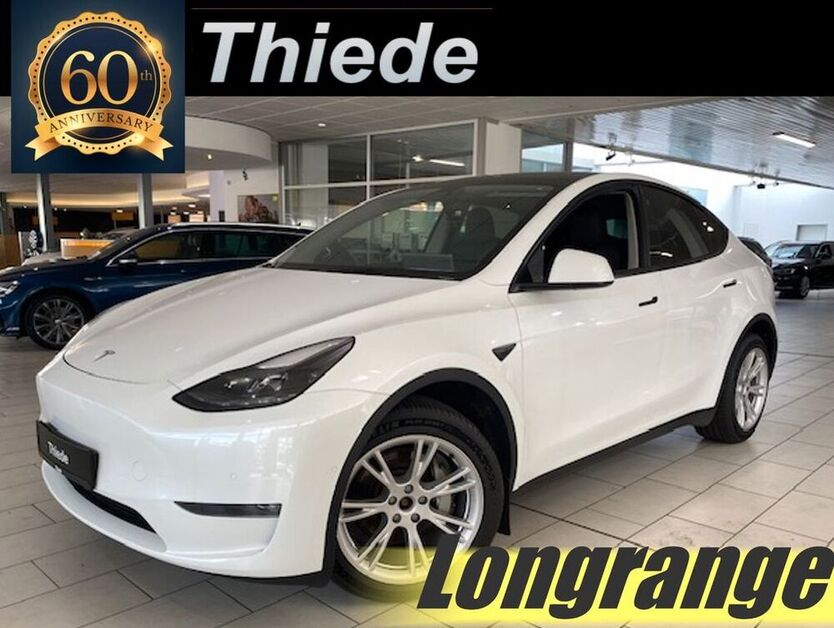 Model Y