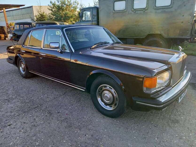 Silver Spur