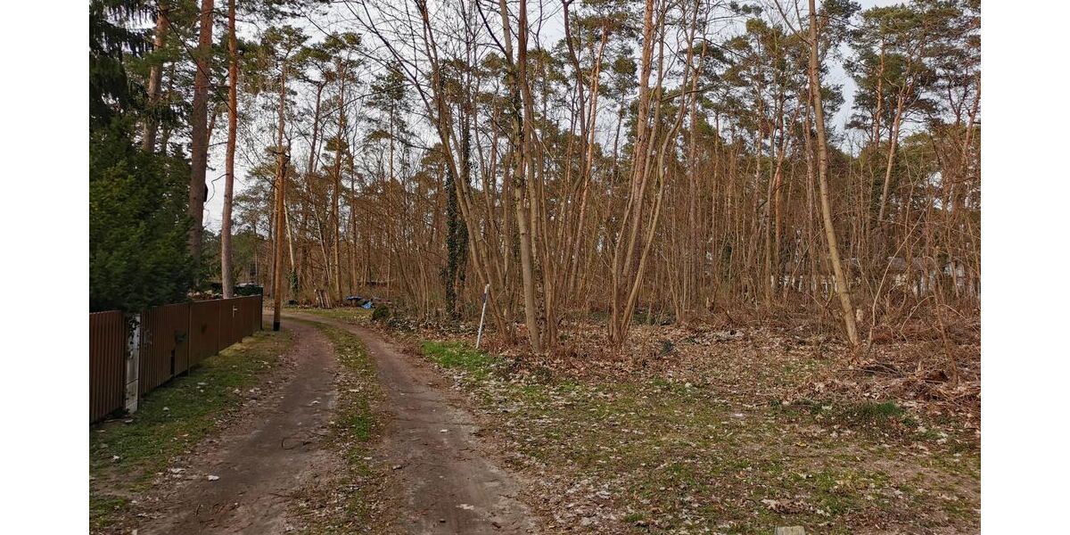 Ein Wald- und Wassergrundstück als perfekter Rückzugsort fürs Wochenende - Grundstück Grünheide (Mark) | Angebot:17331091