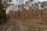 Ein Wald- und Wassergrundstück als perfekter Rückzugsort fürs Wochenende - Grundstück Grünheide (Mark) | Angebot:17331091